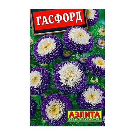 Астра Гасфорд помпонная (Аэлита)