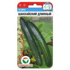 Огурец Шанхайский длинный (Сиб сад)